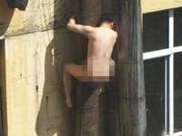 偷情男被捉裸身翻窗