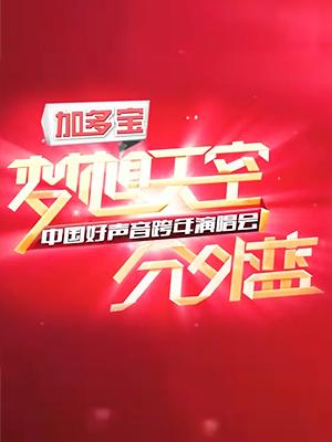 浙江卫视2013梦想天空分外蓝中国好声音跨年演唱会