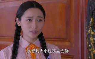 戴流苏耳环的少女分集剧情_电视剧戴流苏耳环