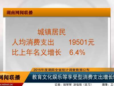 2015年湖南人均可支配收入19317元