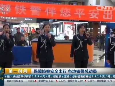 [视频]保障旅客安全出行 各地铁警总动员