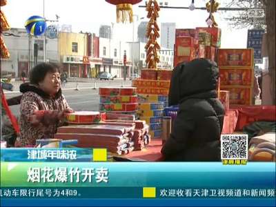 [视频]津城年味浓 烟花爆竹开卖