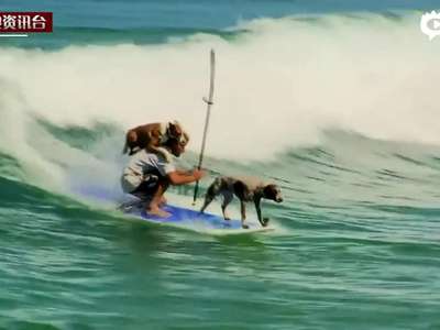 [视频]澳洲冲浪冠军带爱犬冲浪 与其亲昵互动