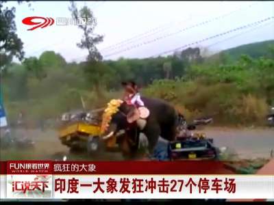 [视频]印度一大象发狂冲击27个停车场