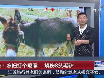 [视频]山东农妇打个喷嚏烧伤8头驴 一下损失4万多元
