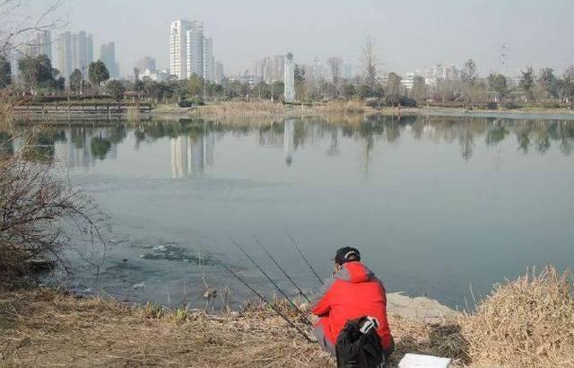 冬季钓鲫鱼技巧,达人总结的需要注意的六个事