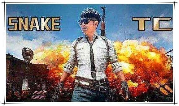 陈赫的SnakeTC战队要有大动作,吃鸡女玩家沫子迷住了不少网友!,陈赫的SnakeTC战队要有大动作,吃鸡女玩家沫子迷住了不少网友!