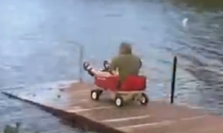 惊呆了！熊孩子开车竟如此狂野