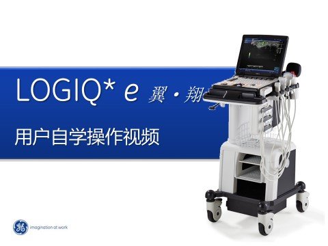 Logiq E 翼翔5.1.8 TVI设置与使用 B