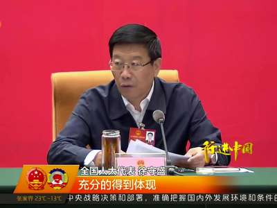 十二届全国人大四次会议湖南代表团举行第二次全体会议 审议《政府工作报告》