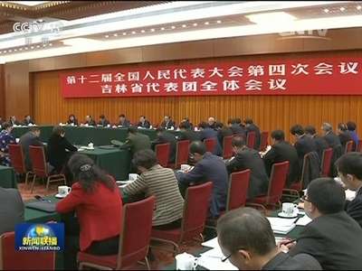 [视频]张德江参加吉林代表团审议
