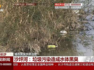 城市黑臭水体治理 沙坪河：垃圾污染造成水体黑臭