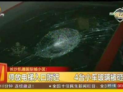 长沙凯通国际城小区：停放电梯入口附近 4台小车玻璃被砸损