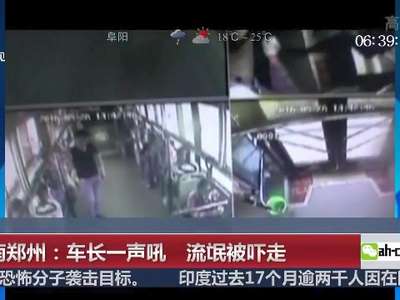 [视频]河南郑州：车长一声吼 流氓被吓走