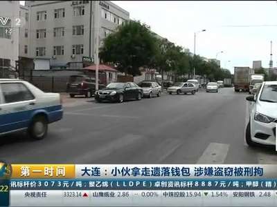 [视频]大连：小伙拿走遗落钱包 涉嫌盗窃被刑拘