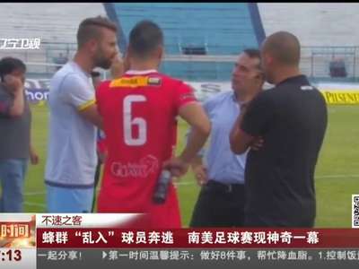[视频]南美足球赛现神奇一幕 蜂群“乱入”球员奔逃