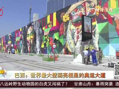 [视频]巴西：世界最大壁画亮相里约奥运大道