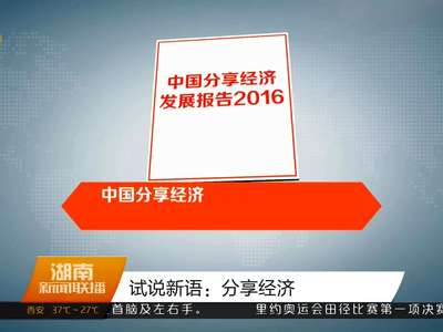 试说新语：分享经济