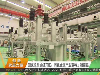 国家级望城经开区：有色金属产业更特才能更强