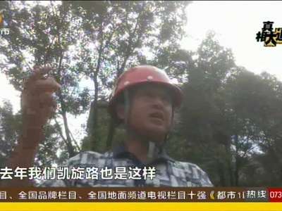 芷江一官员遭“女友”举报经商敛财