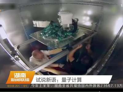 试说新语：量子计算