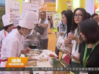 2016中国食博会暨食品餐饮创新发展高峰论坛在长沙开幕