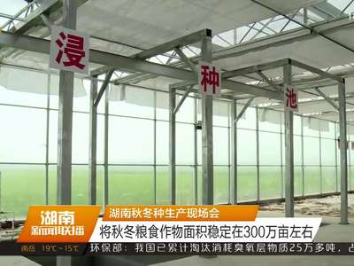 湖南秋冬种生产现场会 