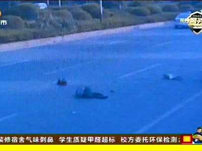 司机“开车看手机” 撞倒爷孙致一死一伤