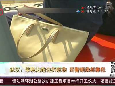 [视频]武汉：笨贼边跑边扔赃物 民警顺线抓嫌犯