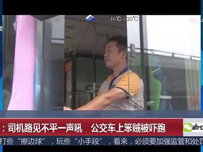 [视频]河南：司机路见不平一声吼 公交车上笨贼被吓跑