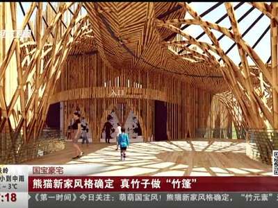 [视频]熊猫新家风格确定 真竹子做“竹篷”