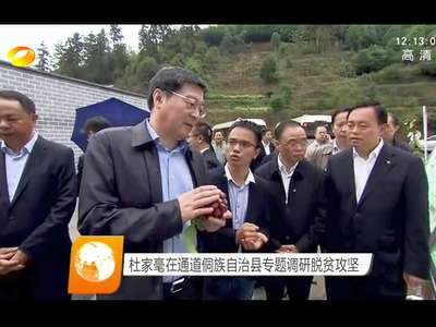 杜家毫在通道侗族自治县专题调研脱贫攻坚