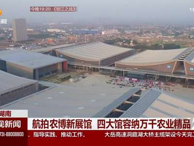 湖南：航拍农博新展馆 四大馆容纳万千农业精品