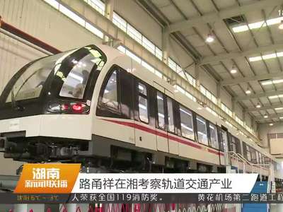 路甬祥在湘考察轨道交通产业
