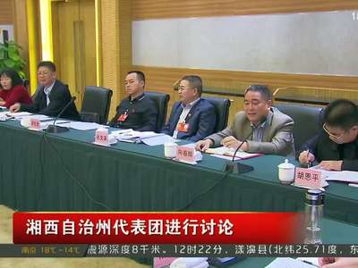 湘西自治州代表团进行讨论