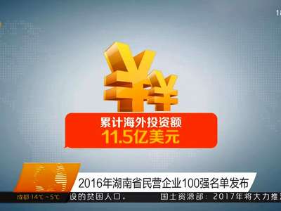 2016年湖南省民营企业100强名单发布
