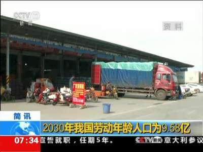 [视频]2030年我国劳动年龄人口为9.58亿