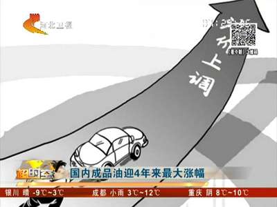 [视频]国内成品油迎4年来最大涨幅