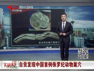 [视频]自贡发现中国首例侏罗纪动物巢穴