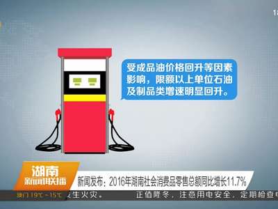 新闻发布：2016年湖南社会消费品零售总额同比增长11.7%