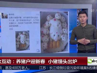 [视频]养猪户迎新春 小猪馒头出炉