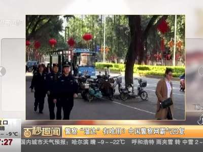 [视频]警察“溜达”有啥用？ 中国警察网霸气回复
