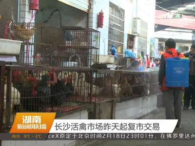 长沙活禽市场昨天起复市交易
