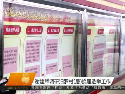 谢建辉调研汨罗村(居)换届选举工作