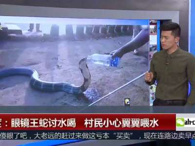 [视频]眼镜王蛇讨水喝 村民小心翼翼喂水