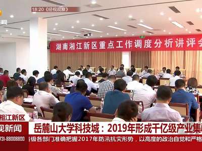 岳麓山大学科技城：2019年形成千亿级产业集群