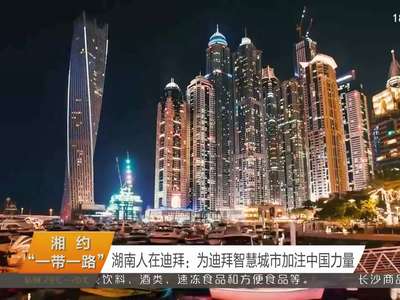 湖南人在迪拜：为迪拜智慧城市加注中国力量