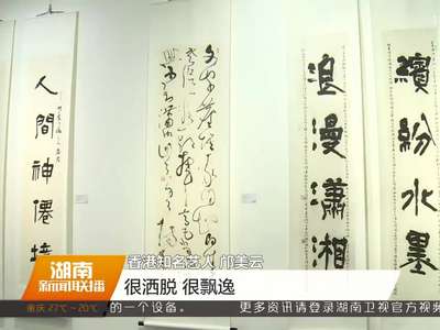 “湘情港韵”湖南书画作品展在香港开幕