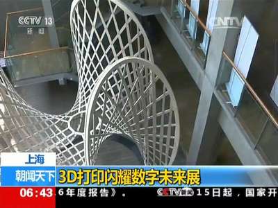 [视频]上海：3D打印闪耀数字未来展