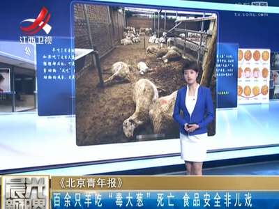 [视频]百余只羊吃“毒大葱”死亡 食品安全非儿戏